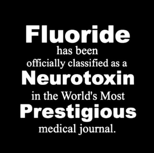 img - 2021-12-06T110209.191