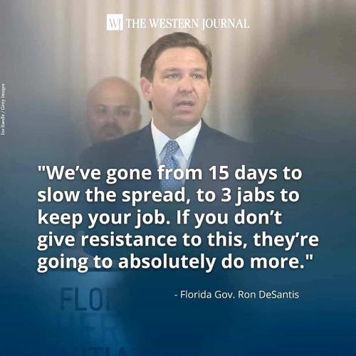 FB_IMG_1638756354603