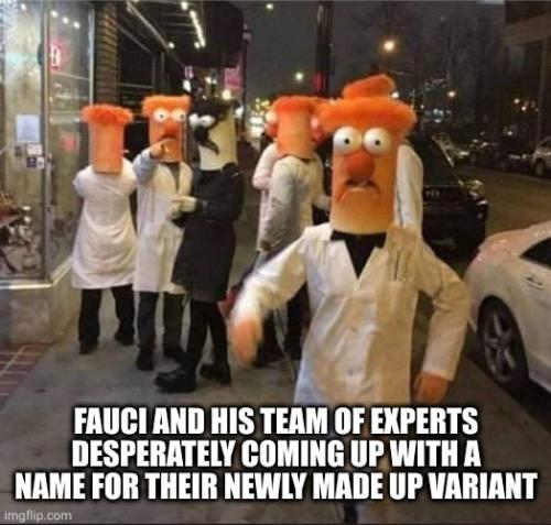 Fauci
