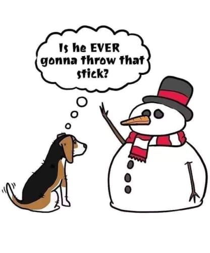 78374593_10220115314934848_2816567624899493888_n