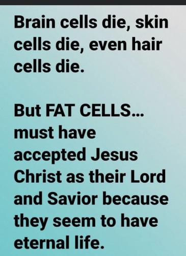 D7EA06E1-D048-4813-85E5-A275FA7F486A