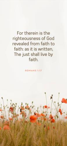 65726C1A-4BCA-49F2-A91D-7EC2D255A427