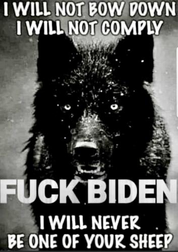 biden 249131472_10223291246928476_4801716686070758583_n