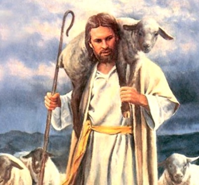 lamb