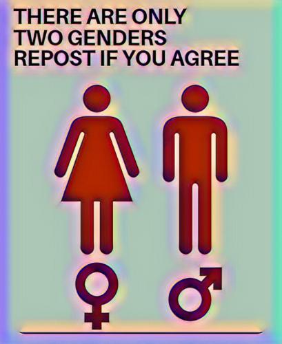 Only2Genders
