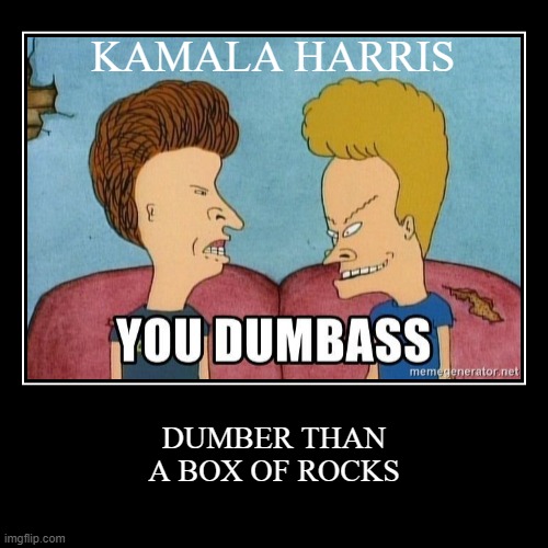 KAMALAHARRISDUMBERTHANABOXOFROCKS
