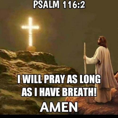 IMG_20211128_200121_356