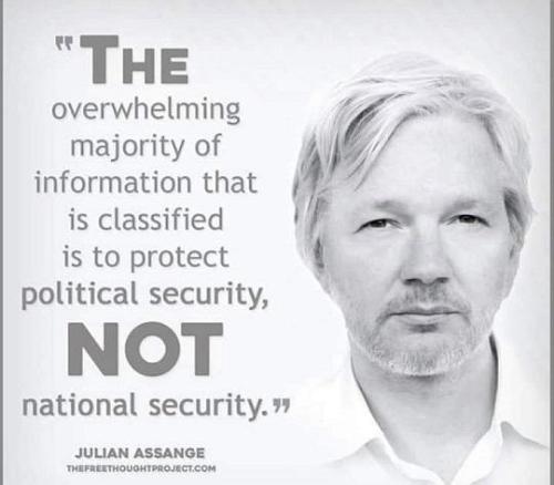 Political security maga