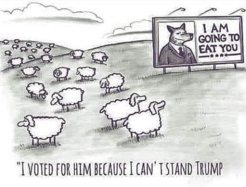 idiot behavior