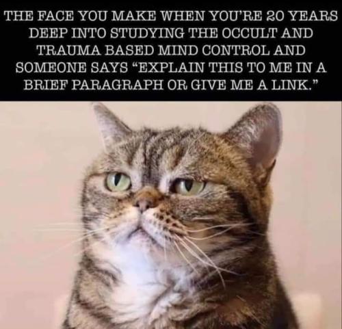 FB_IMG_1640099799032