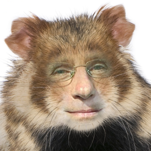 fuckthatrat