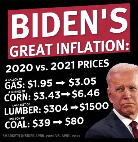 image_1639751241.845