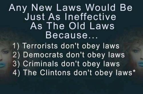GunControl151