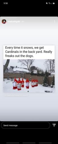 Screenshot_20211217-215820_Instagram