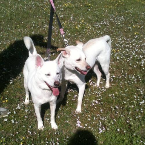 Lilly and Willy