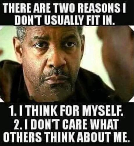 M Reasons