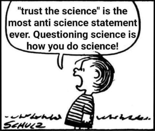 M science