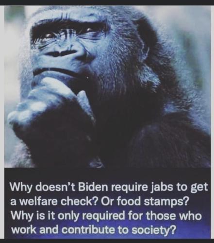 4B2FC7CB-67C0-4675-A9FB-25E18A30FDDD