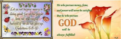 Screenshot_20211205-123517_Photos