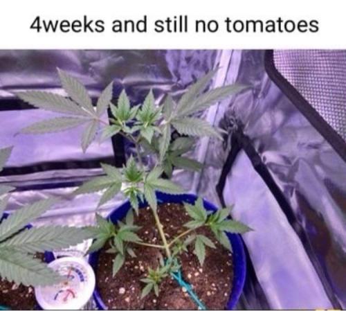 FB_IMG_1638844981451