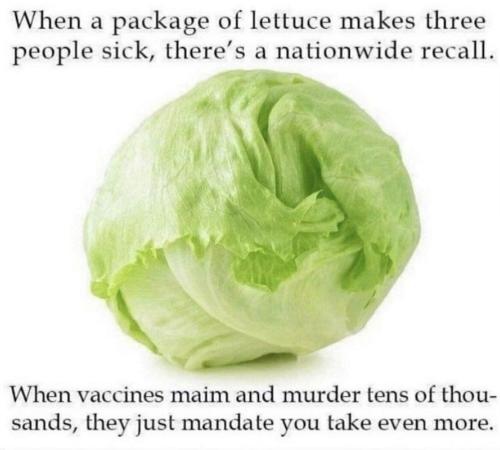 when a package of lettuce