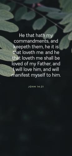 576DFB23-DF14-439C-A19D-2207EF932D0C