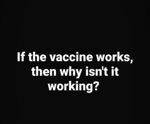 263185130_10158690170806242_4747344848203130740_n