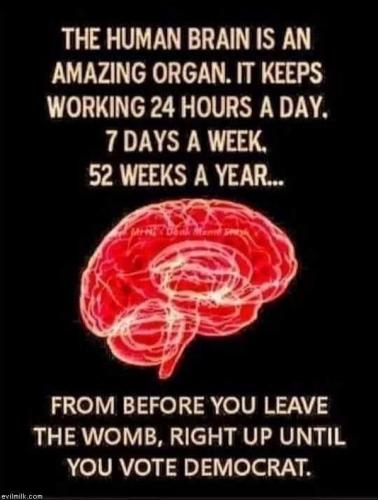 11e63d5f-396b-497b-a06a-9341dad2072e