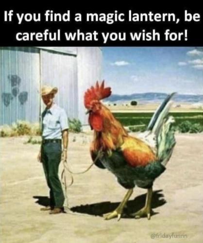 8C826E2F-F3A3-4665-A190-6FEE37B9C0C8