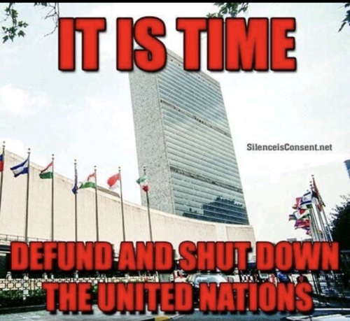 Screenshot_20211210-174525~2