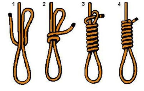 169f1120e9679f60402e7a0b2537e2e0_500x0