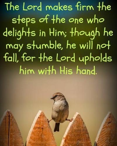 IMG_20211205_121727_007