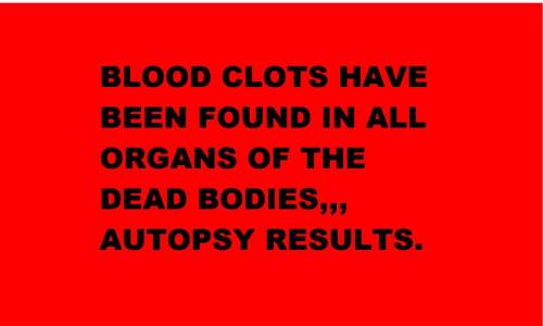 AUTOPSY