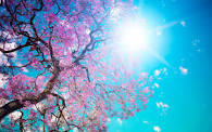 44260385-942F-4621-B4EB-99DC3C96CC79