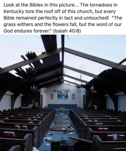 FB_IMG_1639351803209
