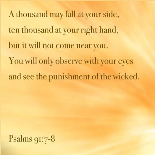 IMG_20211223_170941_713