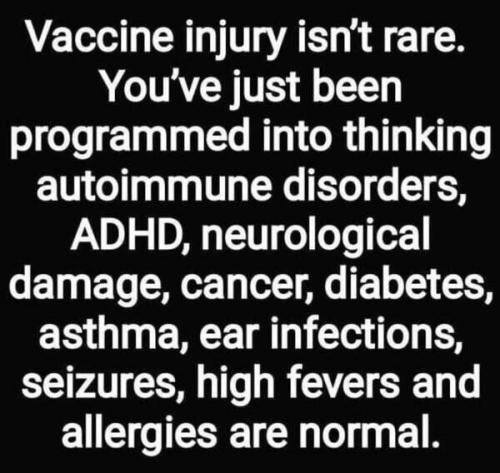 image_1637746399.159