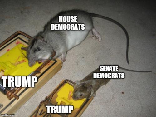 269862154_443843350477773_8448360052180575993_n