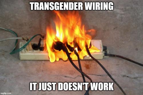 tranny-wiring