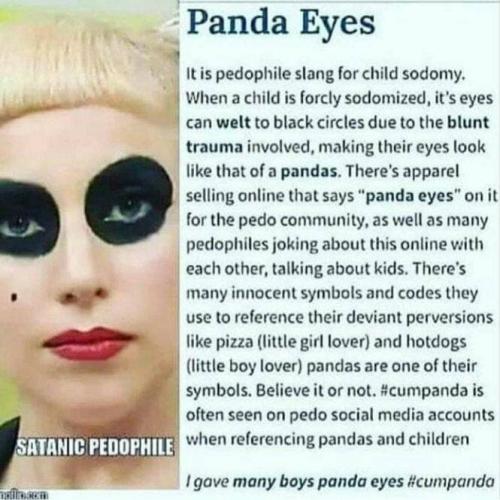 PandaEyes2