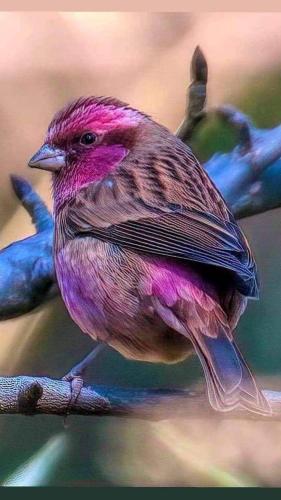 ffbf09f2-a625-43b3-9c72-c7279558af5b