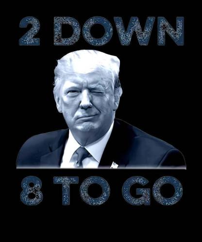 donald-trump-2-down-8-to-go-