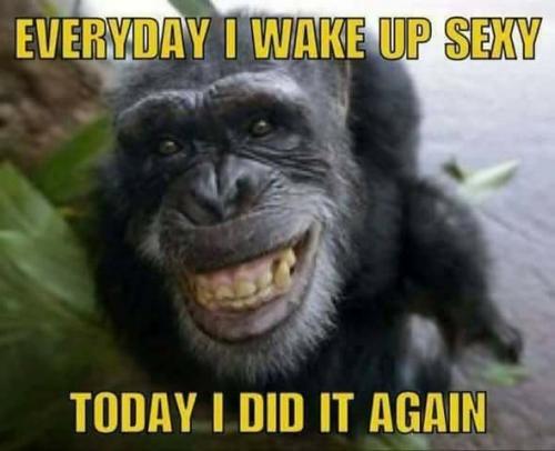 4B35029E-DE0B-48FB-B2A2-06AB96D27F4F