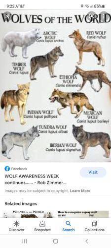 Screenshot_20211209-092345_Google