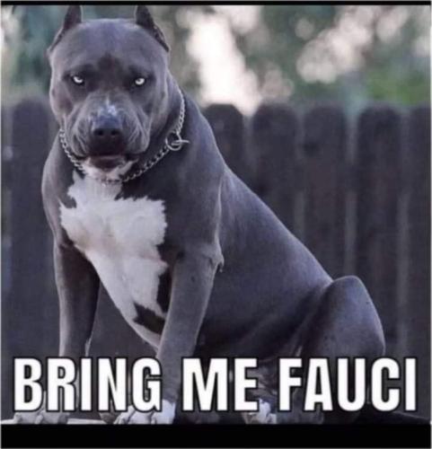 1AA87429-2F77-412B-9CEB-6DD24F9CCCDF