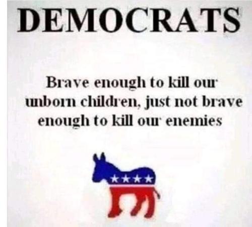 Democrats - Not brave at all...