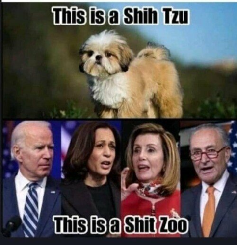 THYIS IS A SHIT ZOO