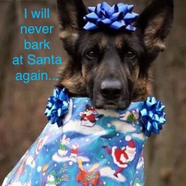 C8CD2F96-B4C0-44F4-9573-C97F56C6DDB2