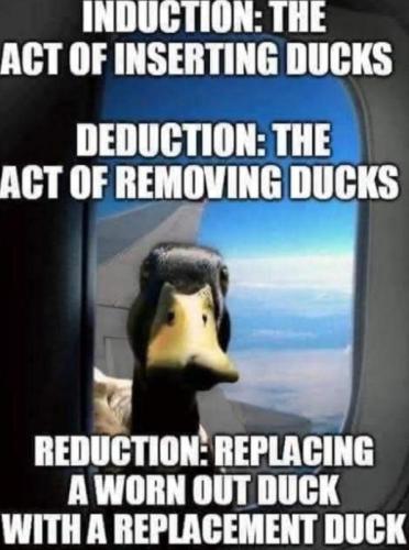 ducks