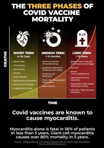 3 phases of covaids shot mortality